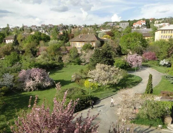 Buda Arboretum, Budapest, Hungary, Hungary